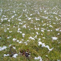Tramonti-Montagna_neve 